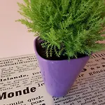Luna Apartment *