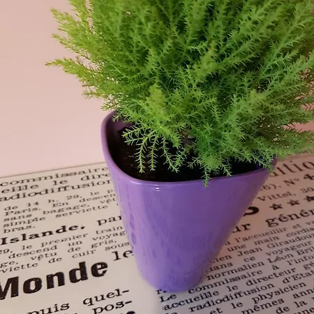 Luna Apartament *